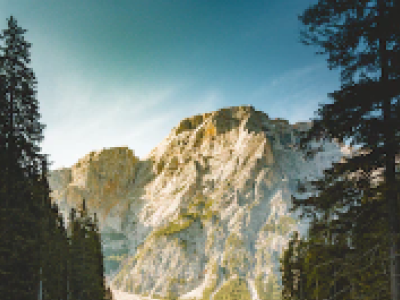 pg电子游戏试玩(中国)官方网站